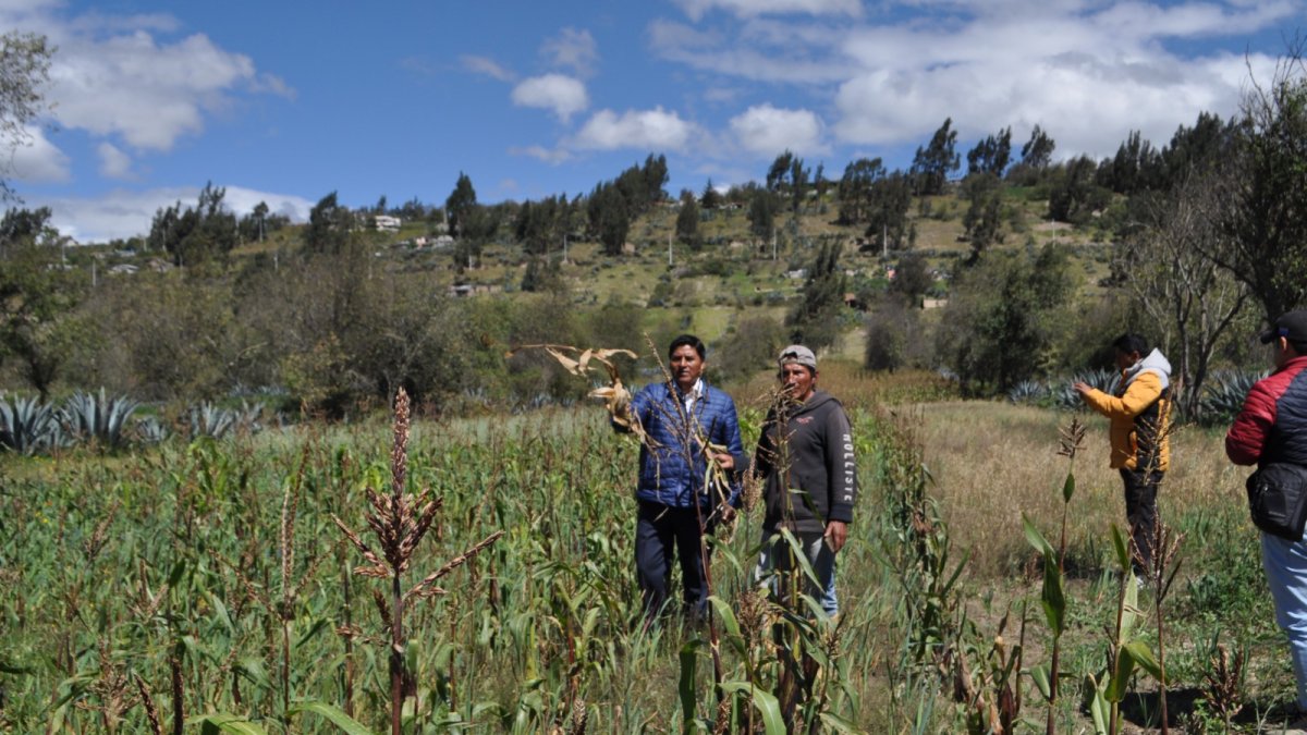 Pruebas. Las autoridades realizaron recorrido en en la parroquia Poaló, Cotopaxi.