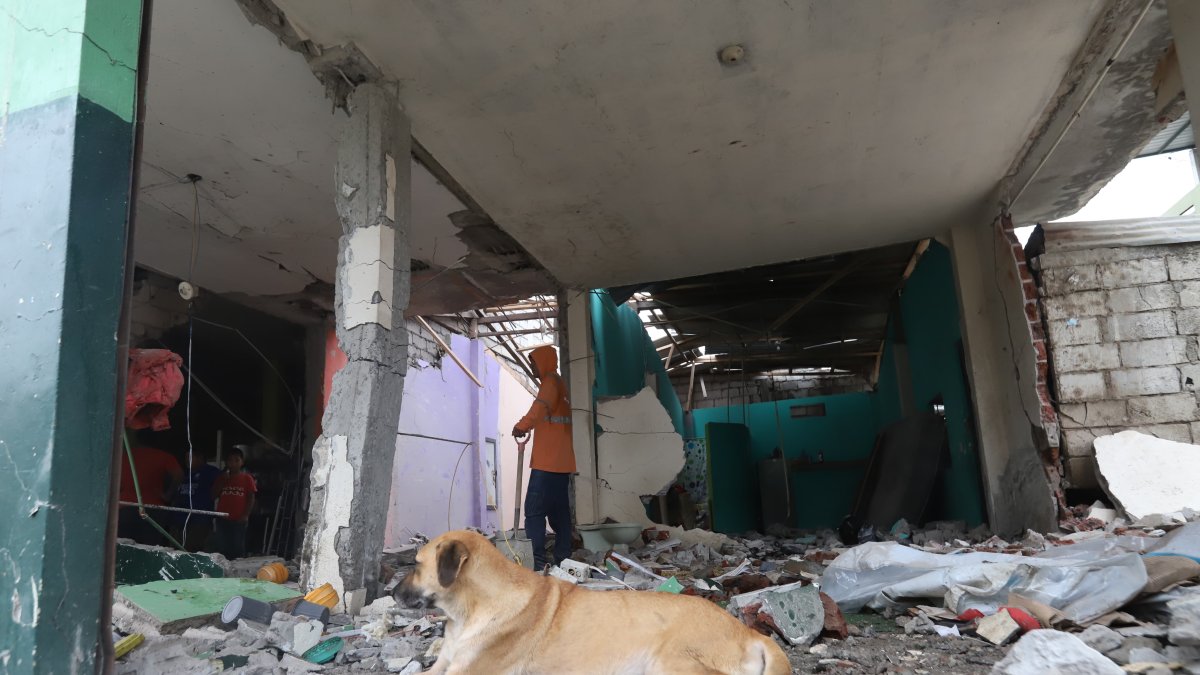 Un perro no quiso abandonar su casa, pese al nivel de los daños.