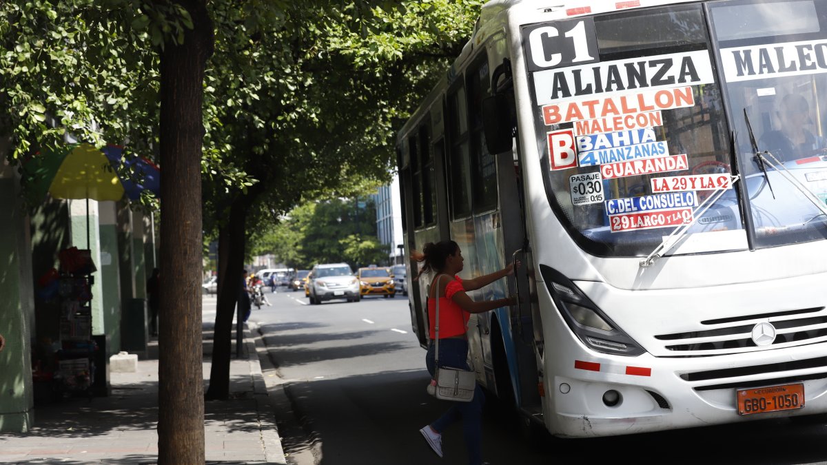 Tránsito. A través de cámaras serán sancionadas seis contravenciones.