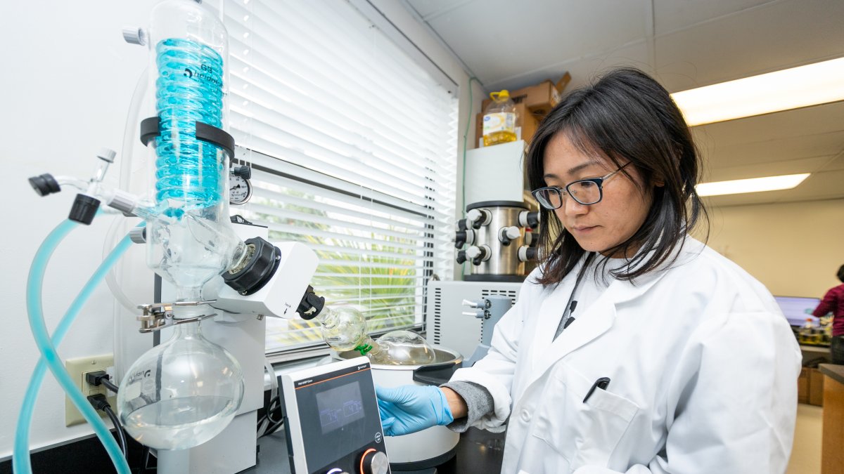 La profesora asociada, Yu Wang, mientras trabaja en su laboratorio.