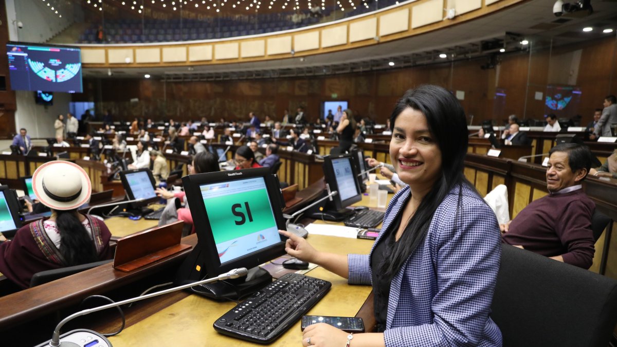 Asambleísta. Victoria Desintonio publicó en X oficios y un video.