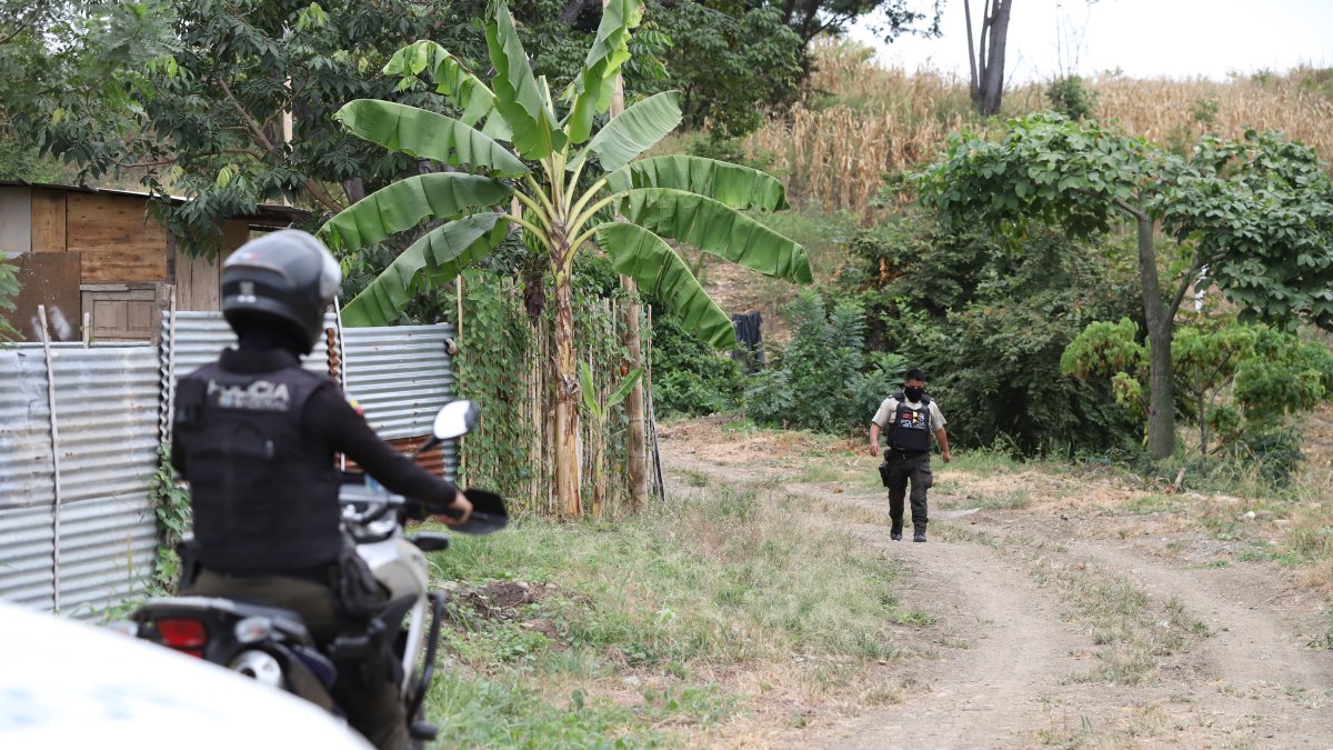 Hecho. La policía llegó al sitio donde estaba el cadáver.