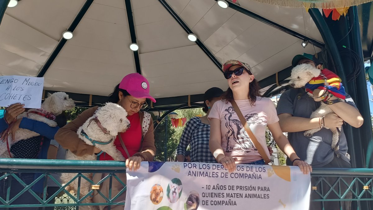 Grupos defensores de los animales de compañía realizaron un plantón para exigir cambios en la normativa vigente sobre el cuidado y protección de perros y gatos.