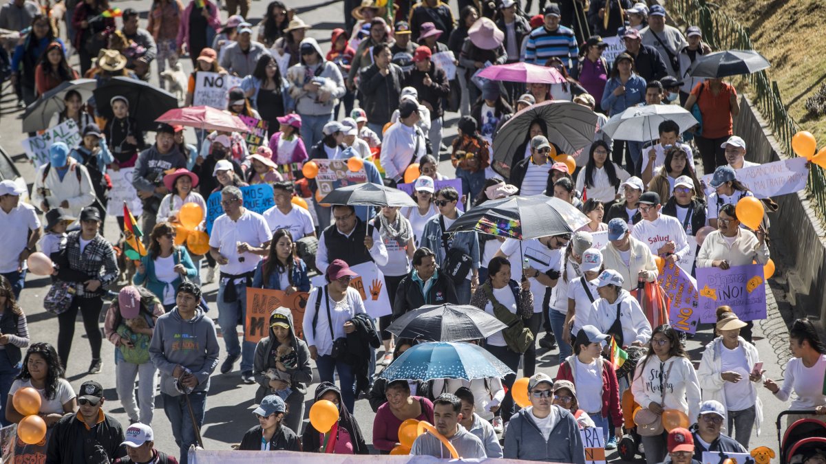 Animalistas marcharon este domingo para pedir que se endurezcan las sanciones por maltrato animal, este domingo en La Paz (Bolivia).