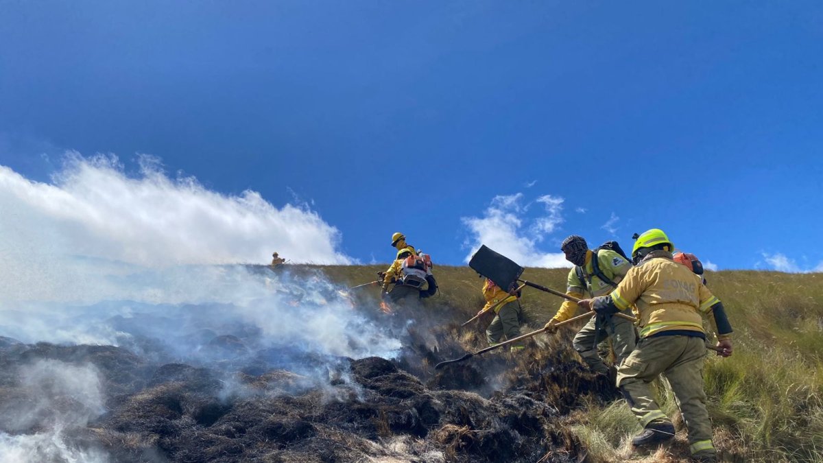 90 hectáreas de pajonal fueron consumidas por el fuego.