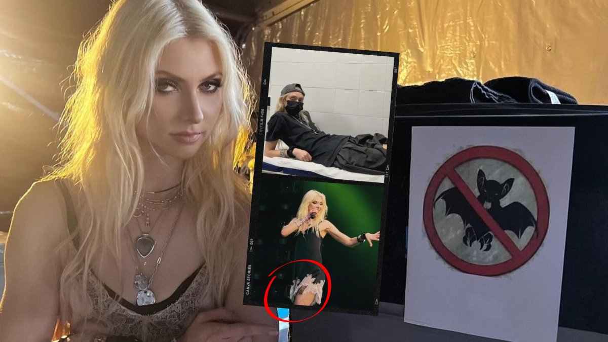 El momento en que el murciélago mordió a Taylor Momsen fue registrado por los asistentes del evento.