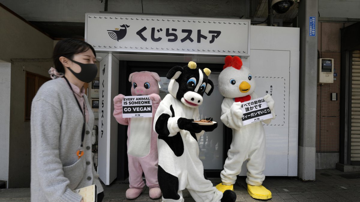 Activistas vestidos de pollo, cerdo y vaca sostienen carteles que dicen