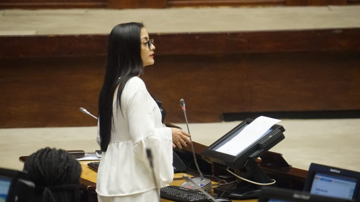 La primera vicepresidenta de la Asamblea será quien suba a la Presidencia de la Asamblea Nacional tras la renuncia de Henry Kronfle por su precandidatura presidencial para las elecciones 2025.