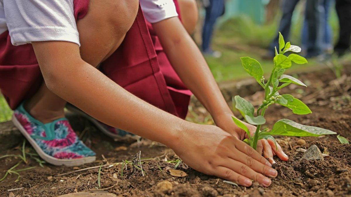 El objetivo principal de esta celebración es sensibilizar a la población sobre temas ambientales clave