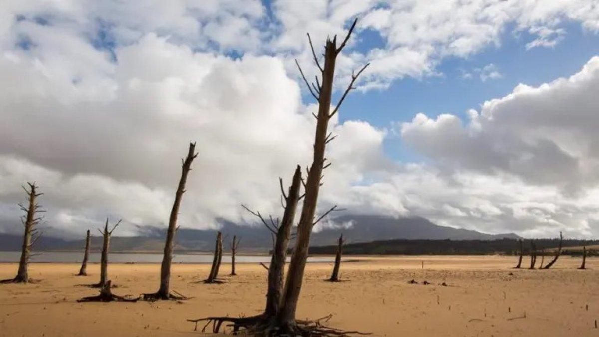 La desertificación es uno de los mayores problemas ambientales del planeta.