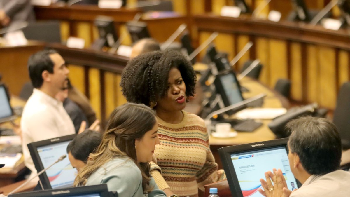 El correísmo se quedaría solo en su intención de exhortar al presidente Daniel Noboa a que respete la delegación del poder a la vicepresidenta Verónica Abad.