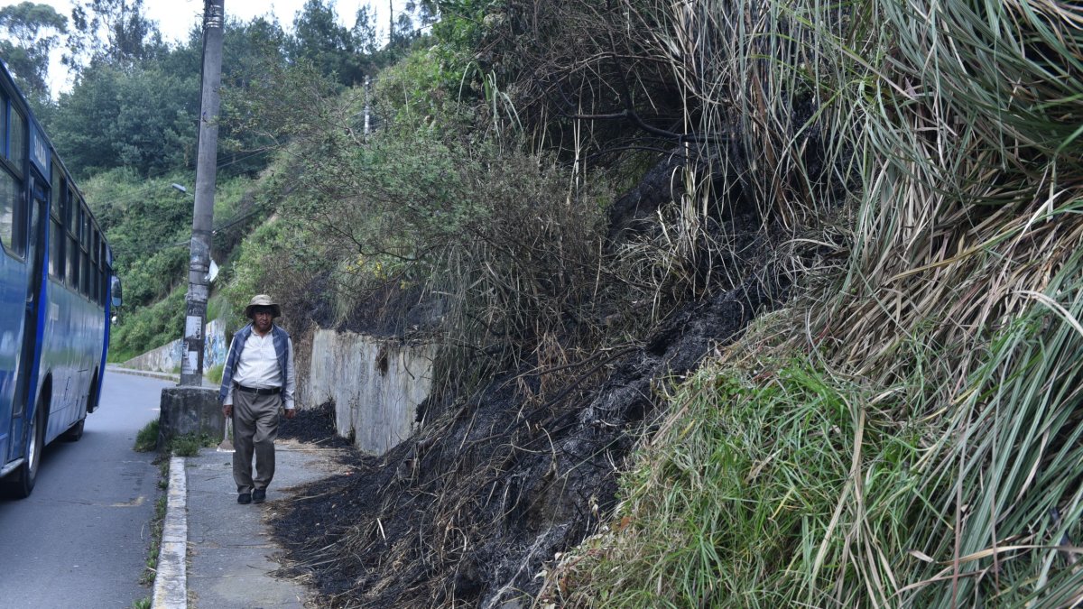 Debido a la falta de lluvias, la vegetación se seca y el fuego se propaga fácilmente. Los meses con mayor incidencia son junio hasta septiembre
