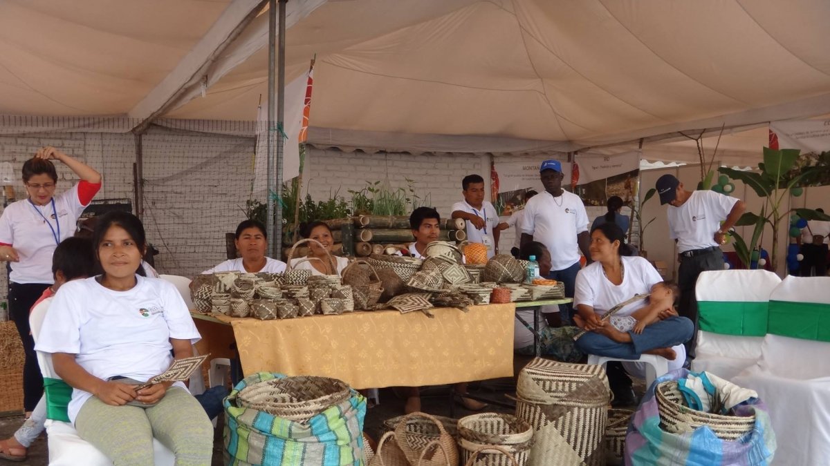 Las manos hábiles de las mujeres chachis, tejen la artesanías que luego llegan a los mercados.