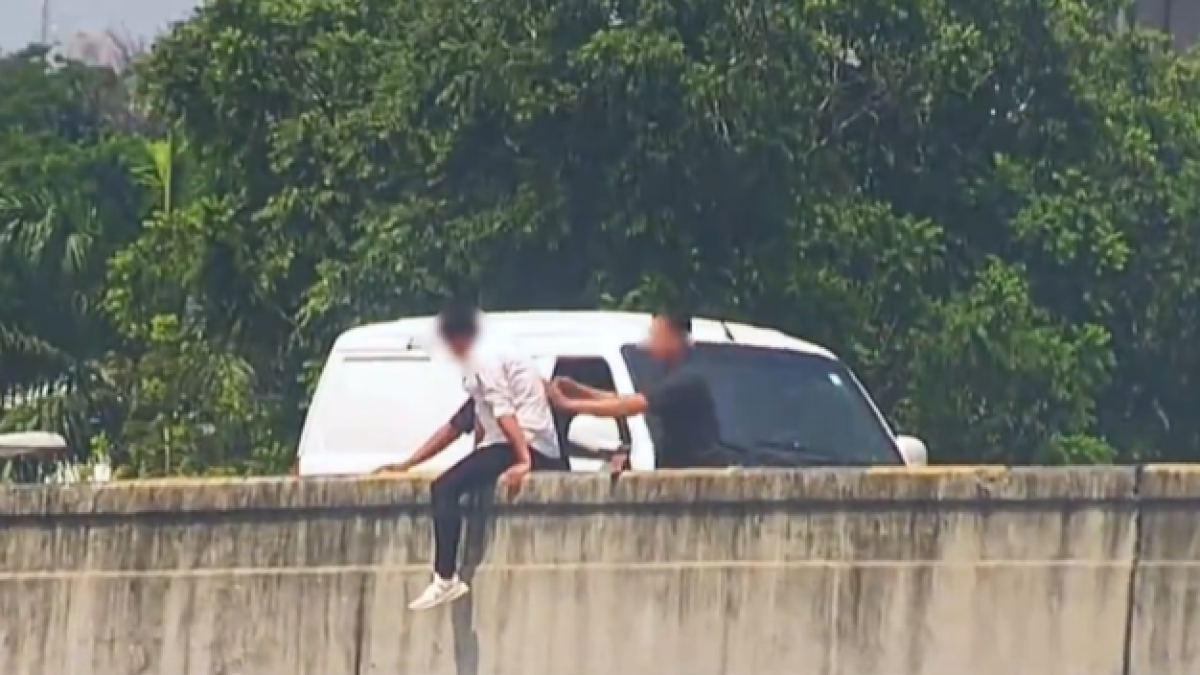 El hecho quedó registrado en las cámaras de seguridad de Segura EP