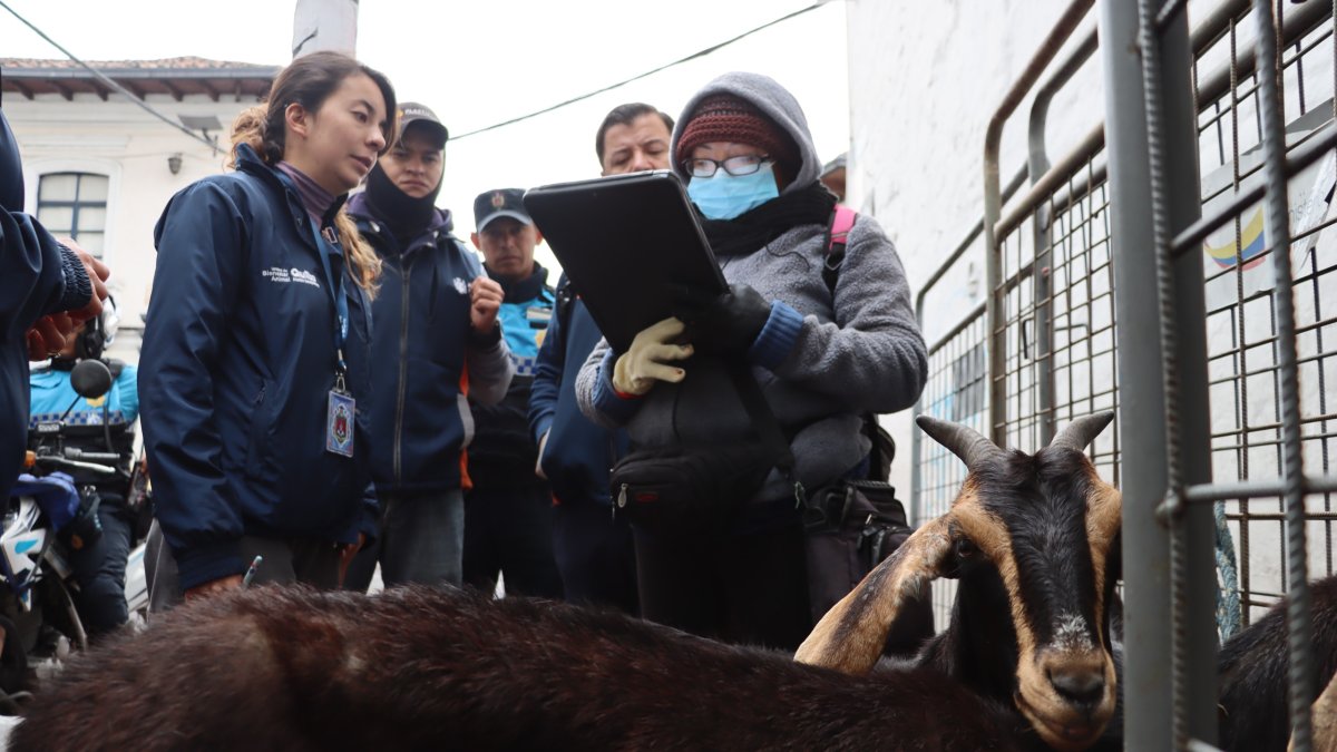 La AMC emitió tres actas de advertencia contra los tutores.