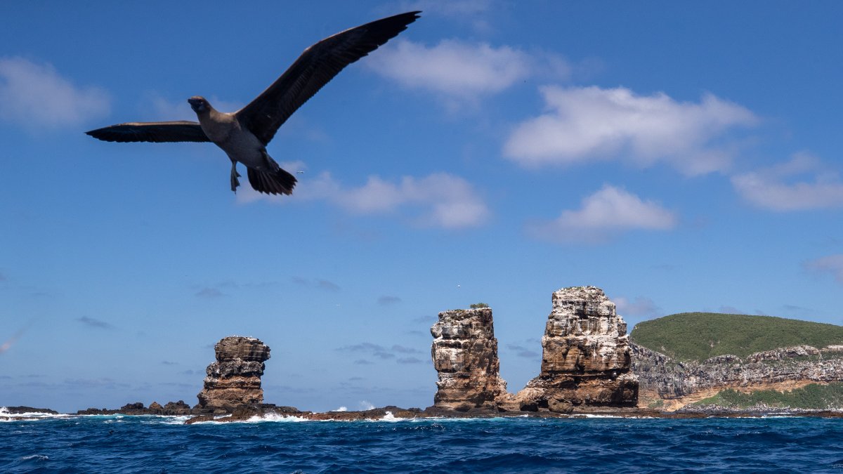 La isla Darwin, la más al norte del archipiélago Galápagos (Ecuador).