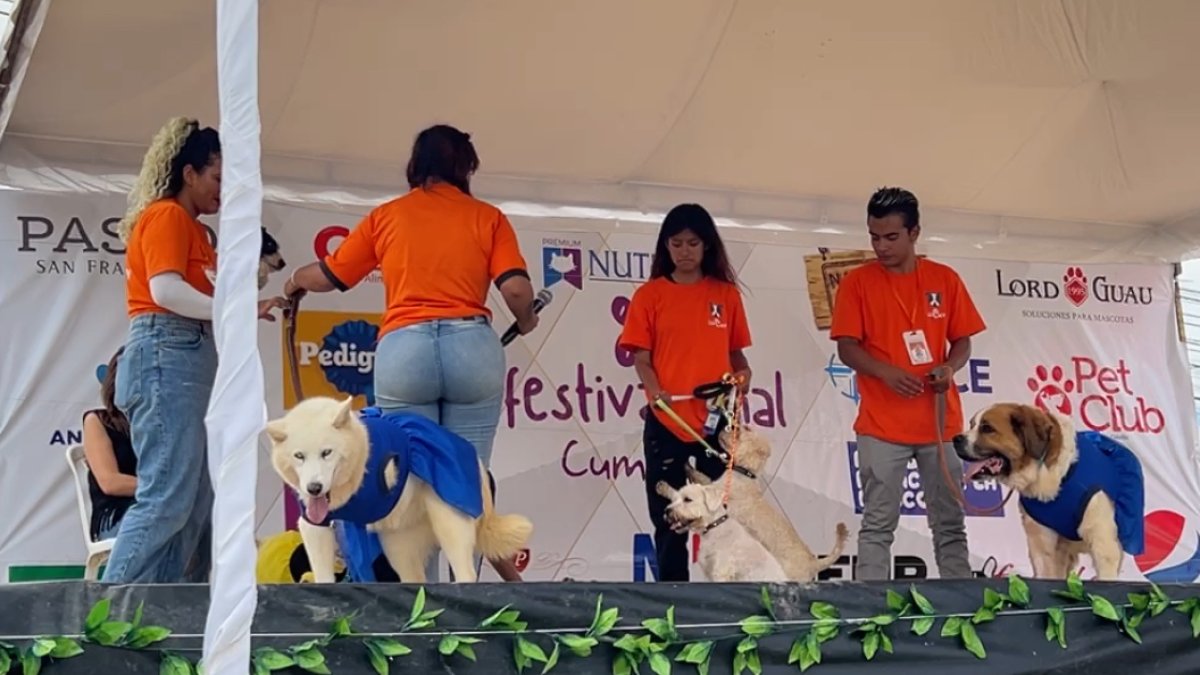 Este gran equipo de voluntarios agradecen estos espacios de difusión