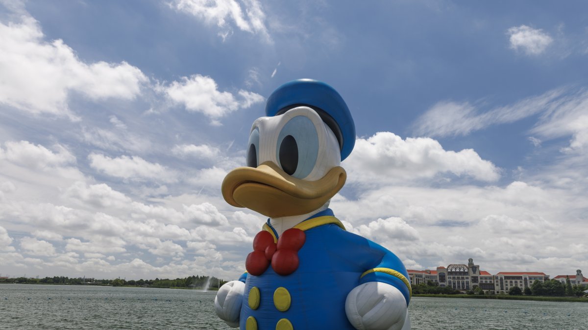 El pato Donald tiene una trayectoria vital digna de conocer, y unas peculiaridades que le hacen muy especial.