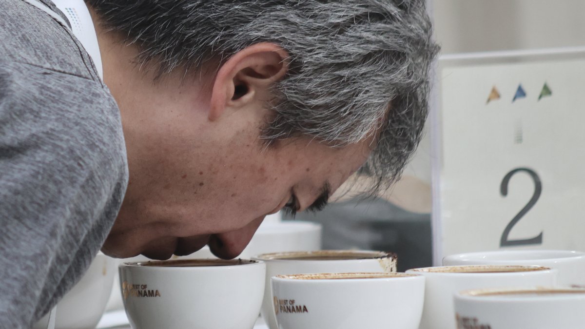 Un juez participa en la cata internacional 'Best of Panama'.