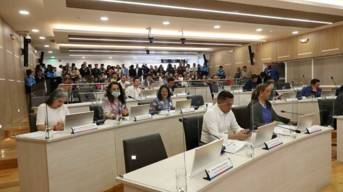 Los concejales aprobaron una resolución que busca conocer dónde están ubicados estos bienes.