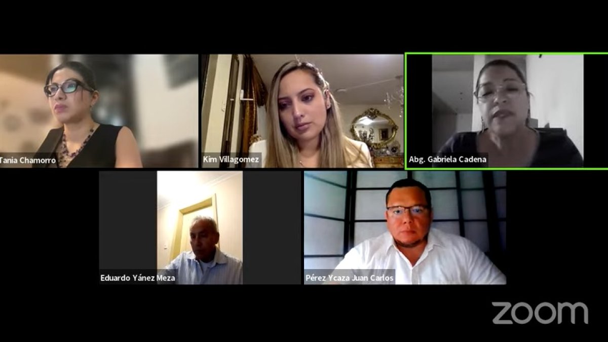 La sesión ordinaria de la comisión se desarrolló la noche de este martes 11 de junio vía telemática.