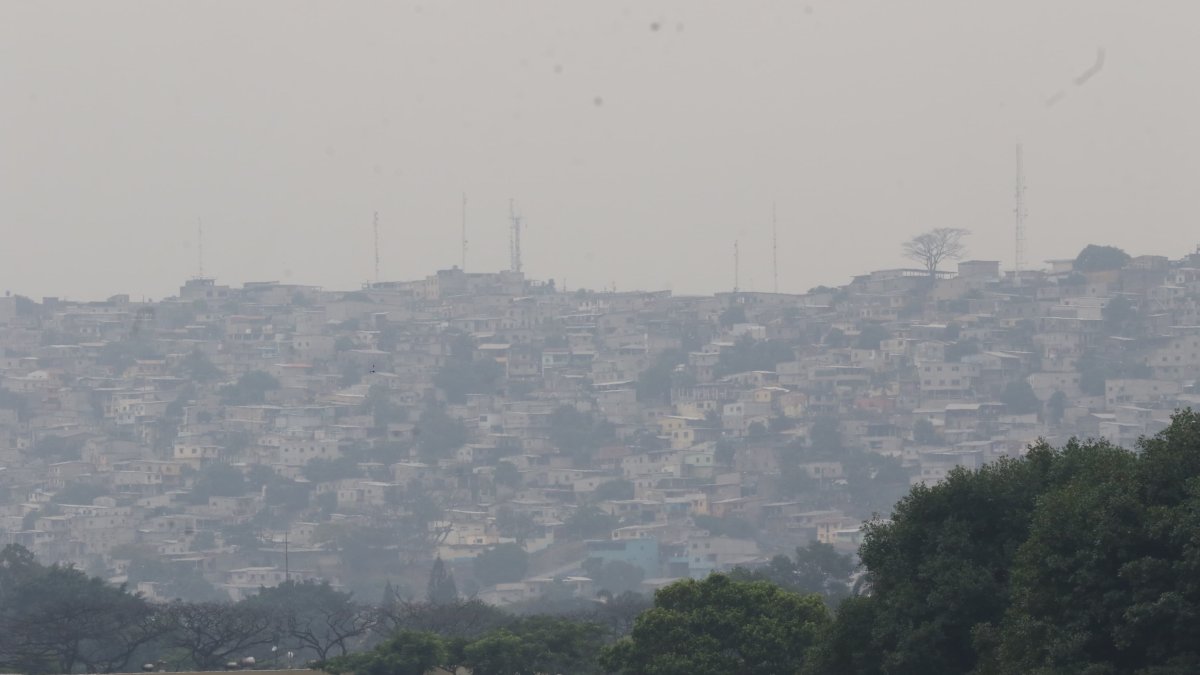 Este 12 de junio, Guayaquil ha empezado a registrar una caída leve de ceniza.