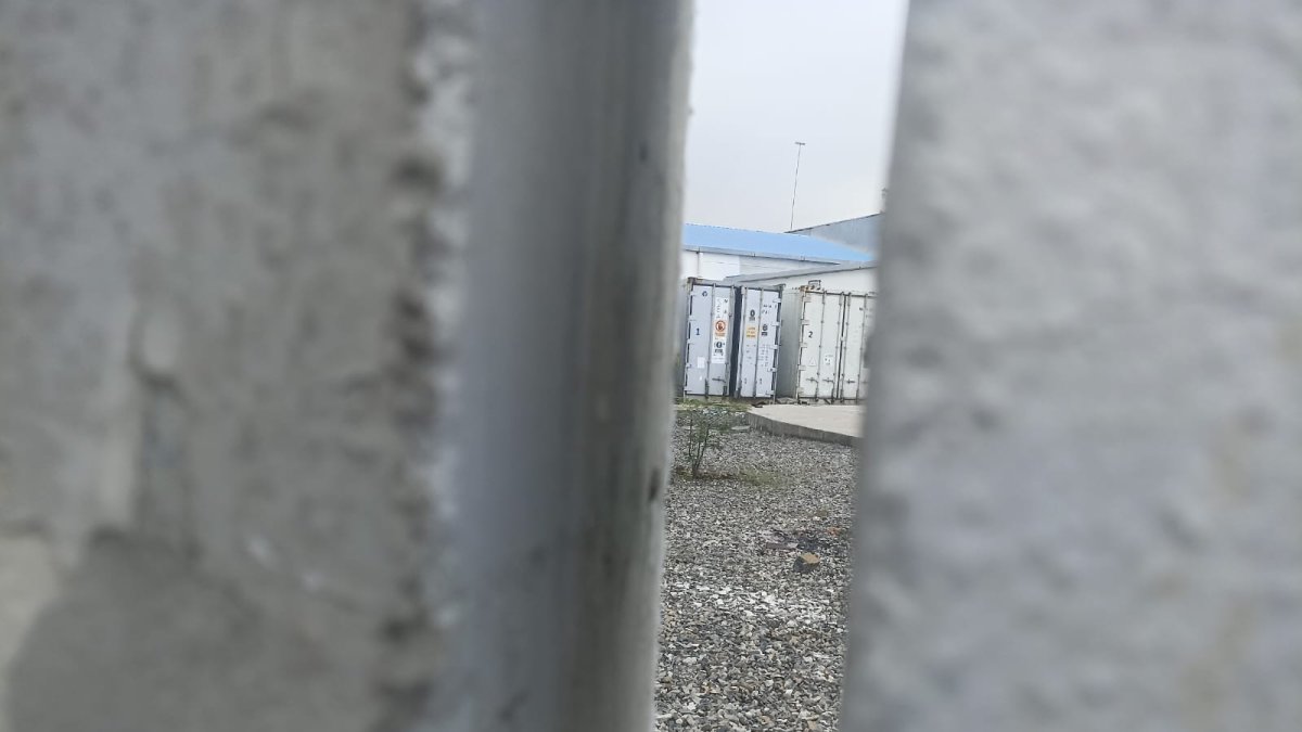 La puerta del segundo contenedor, el cual no refrigera hace 22 días, está entreabierto. En él hay cadáveres en estado de descomposición.