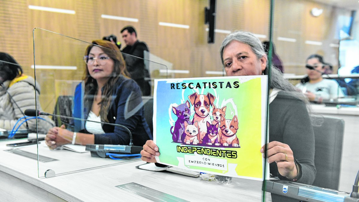 Animalistas asistieron a la sesión de la Comisión de Salud en el Concejo.
