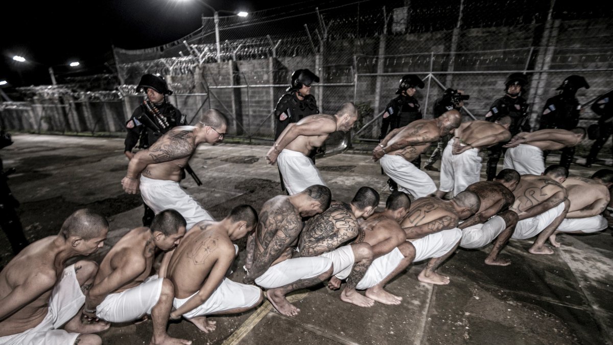 Se observa el traslado de pandilleros al Centro de Confinamiento para el Terrorismo (Cecot), este martes en Tecoluca (El Salvador).