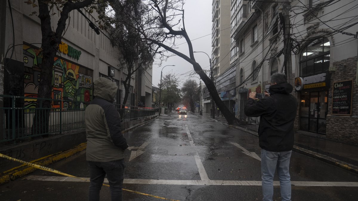Un hombre observa un árbol caído debido a las fuertes lluvias, este jueves en Valparaído (Chile).