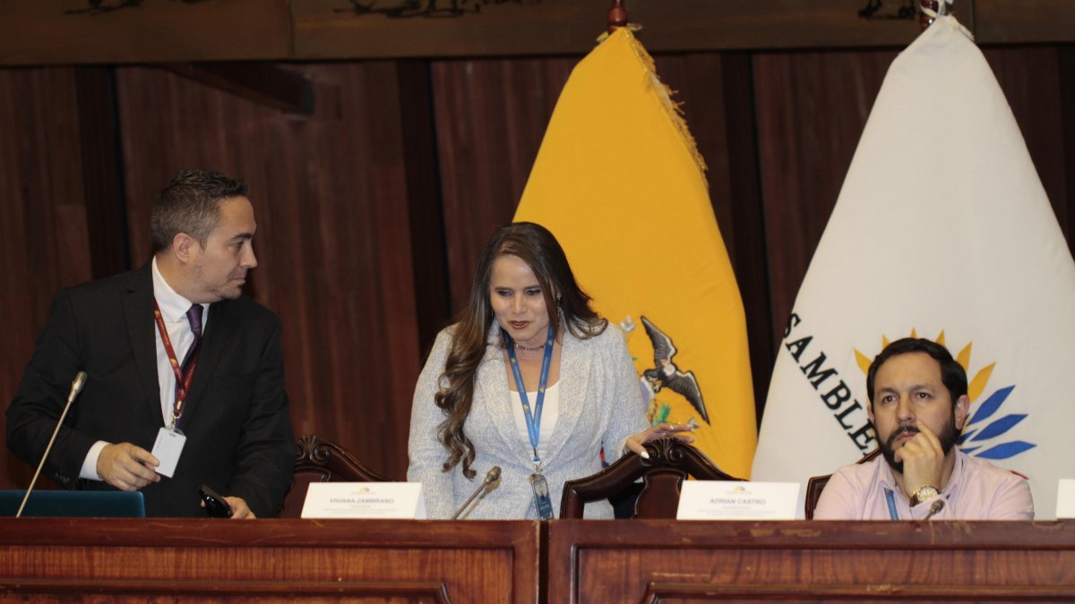 La asambleísta de Construye, Viviana Zambrano, preside la comisión ocasional.