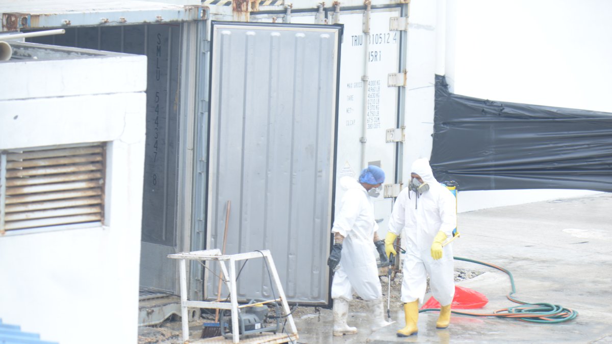 Limpieza. El personal usó ayer erróneamente un gorro quirúrgico desechable al limpiar el contenedor que almacenó muertos sin climatización.