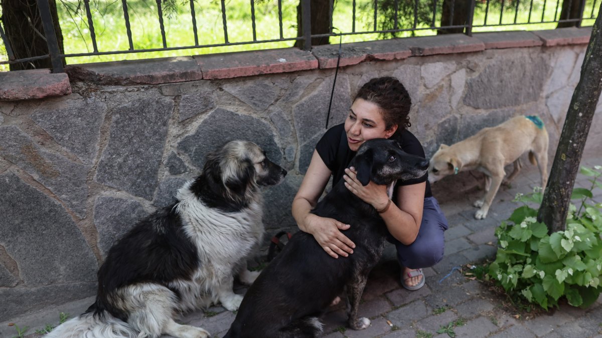 Birsen Ertana, amante de los animales, mascotas perros callejeros frente al autobús veterinario móvil del municipio de Estambul.