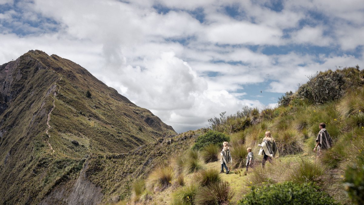 El Gobierno Nacional oficializó la nueva marca país vía decreto ejecutivo, pero a muchos no le pareció un momento adecuado.