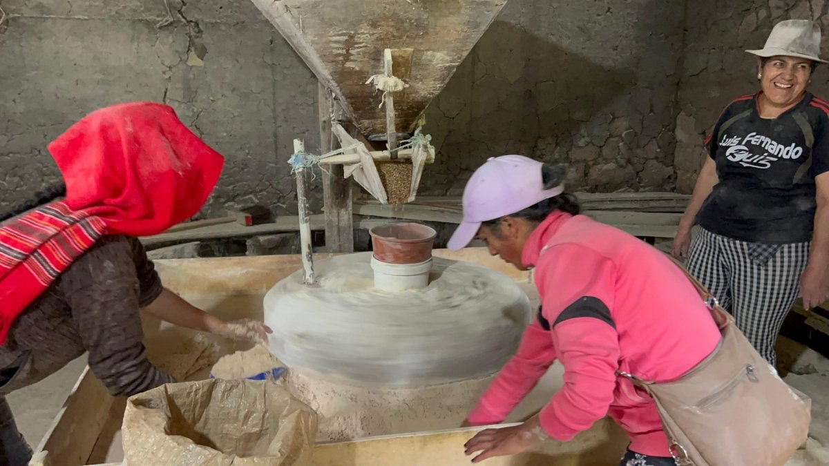 Durante el proceso de la molienda de los granos en Amgarmarca, cantón Pujilí