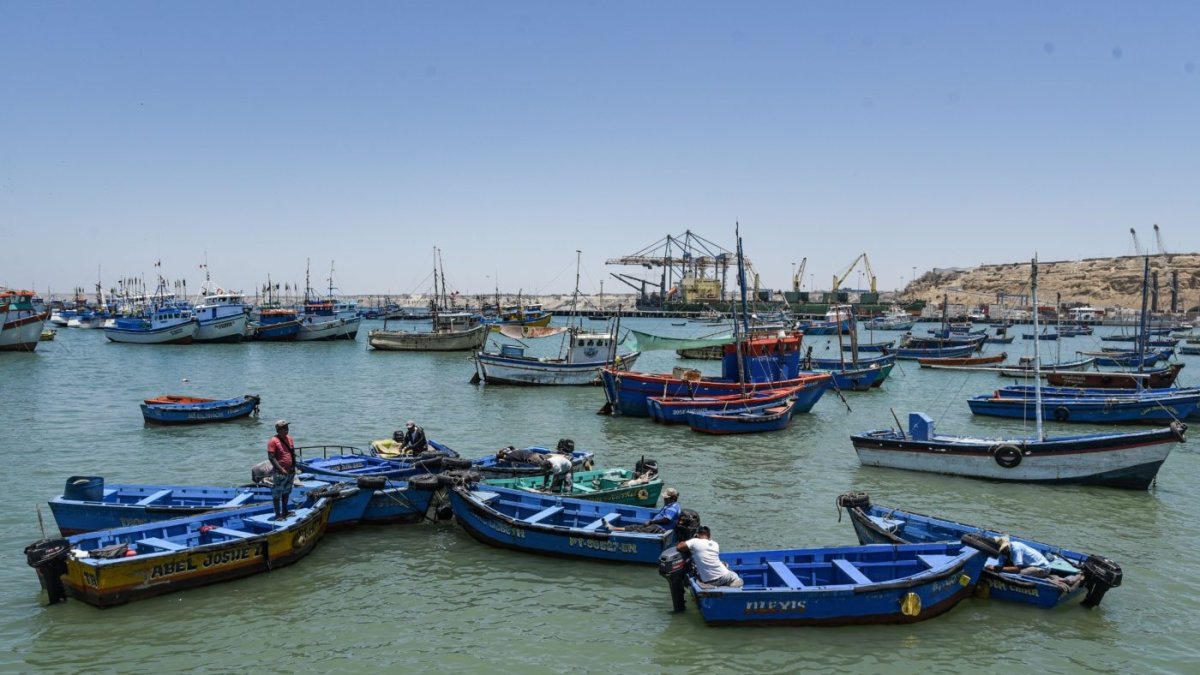 La pesca en Perú tuvo un gran desempeño en 2024.