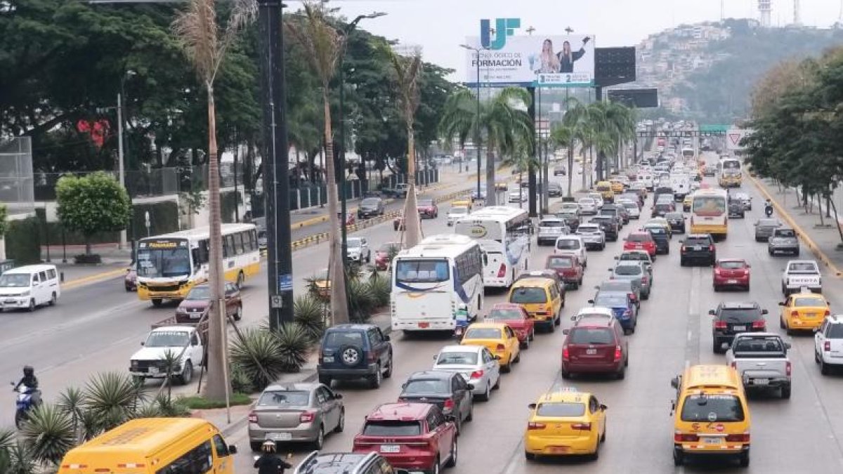 El paso de vehículos que superen los 3,5 toneladas está restringido en la avenida Pedro Menéndez Gilbert.