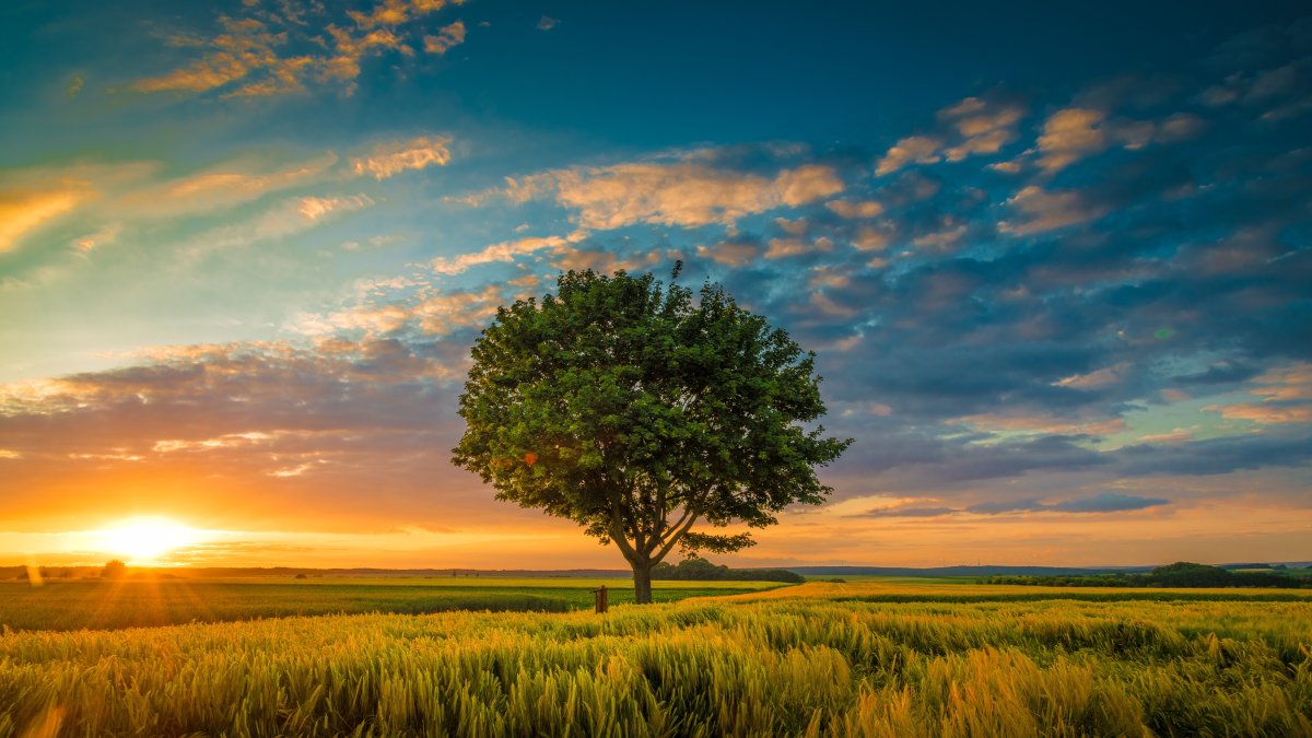 Es un fenómeno astronómico que tiene lugar cuando el eje de rotación de la Tierra se inclina hacia el sol en su punto más extremo.