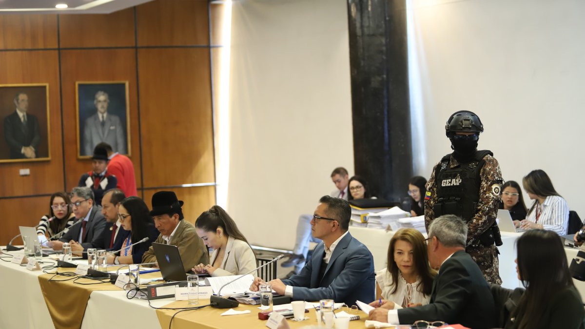 Wilman Terán y Maribel Barreno asistieron a la sesión sobre la presentación de pruebas en el juicio. Xavier Muñoz se encuentra conectado vía telemática.