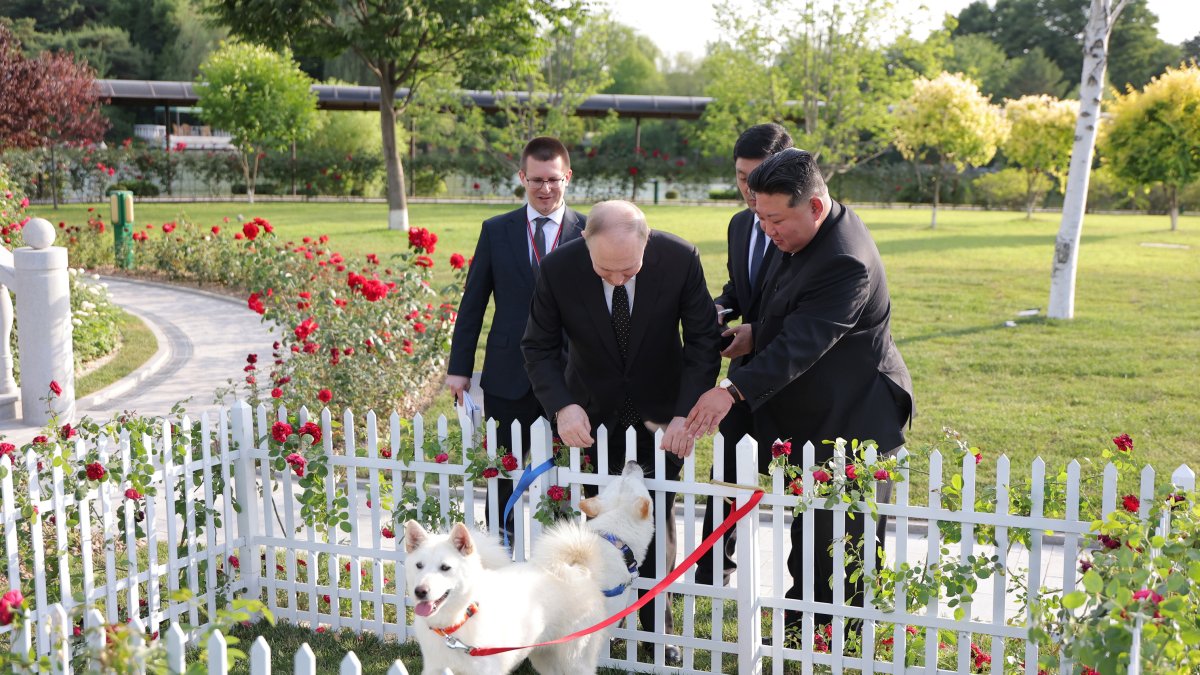 Pionyang. Vladimir Putin con uno de dos los perros obsequiados por el líder  norcoreano, Kim Jong-un.