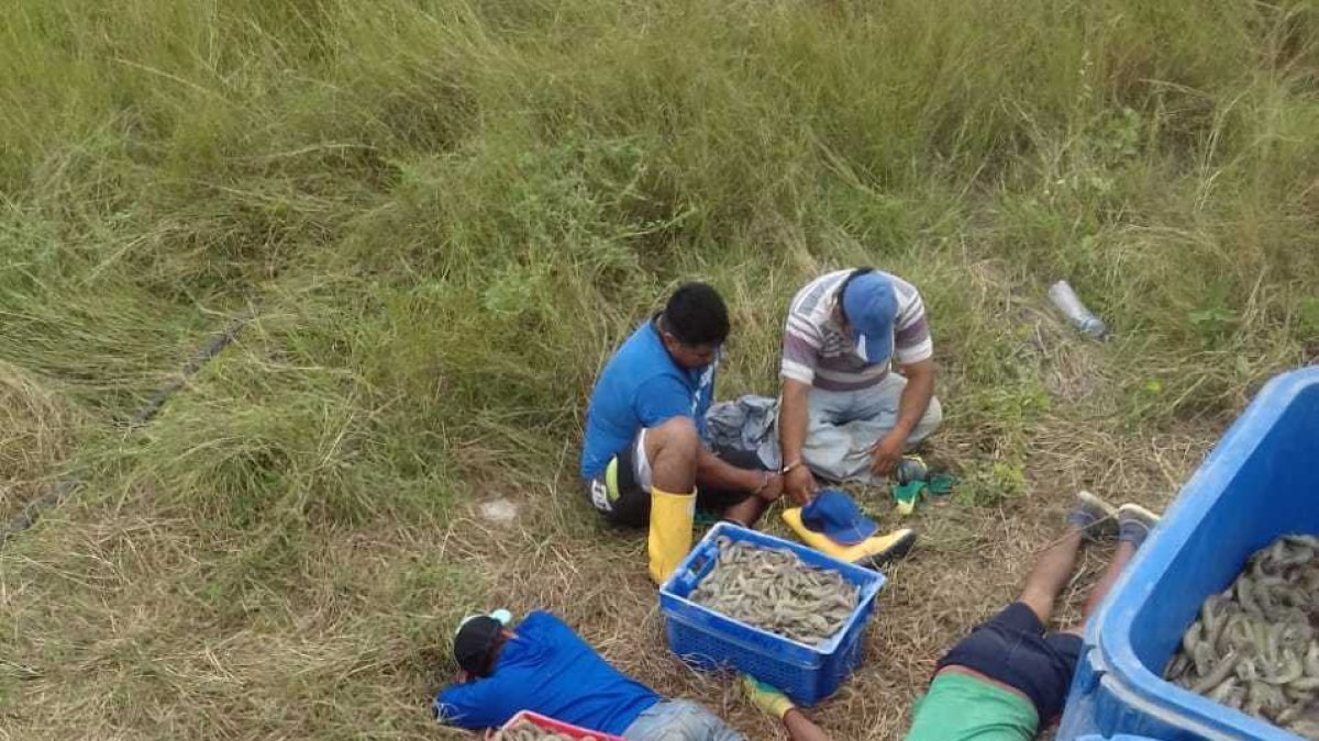 Robo.- Una de las bandas detenidas por asaltar en las carreteras de Ecuador.