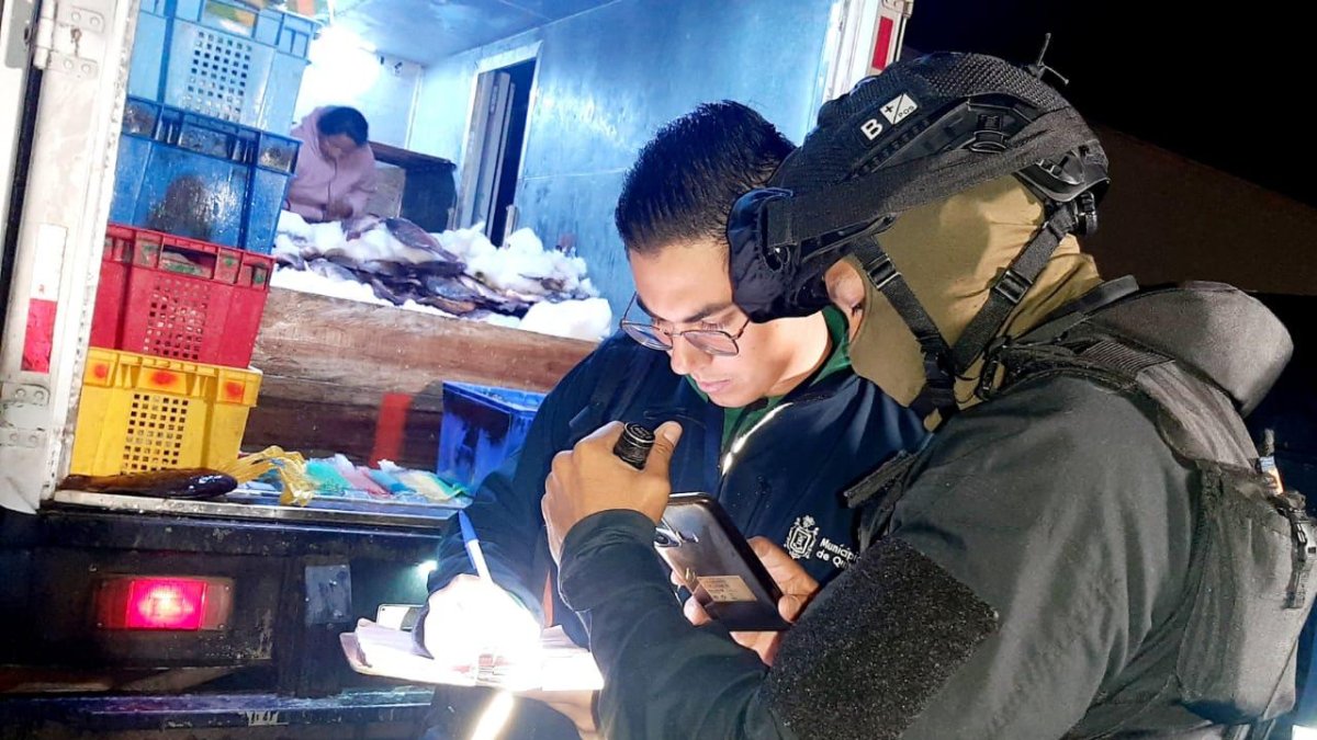 Gavetas de pescado estaban almacenadas en los talleres del local.