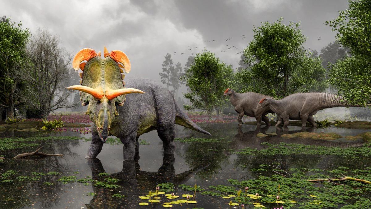 Imagen cedida por Evolutionsmusset Knuthenborg de la representación de un Lokicertops en un pantano de Montana (EE.UU.).