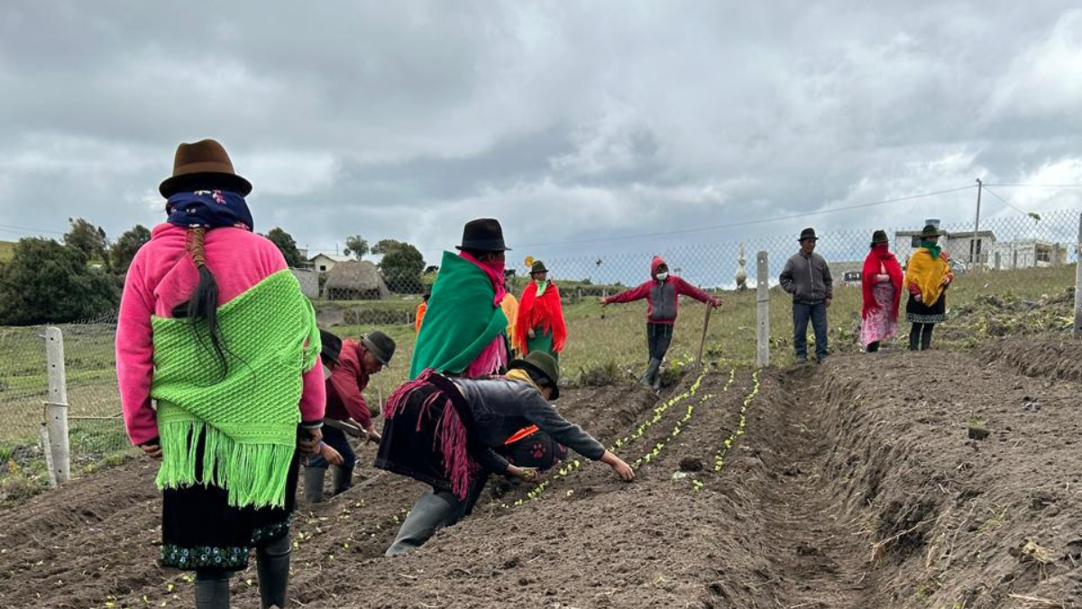 En los sectores rurales se realizan los huertos orgánicos por parte de la Municipalidad de Latacunga.