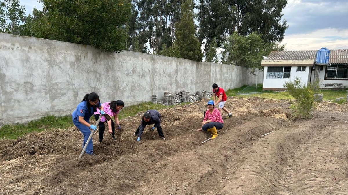 Huertos. Con ellos se apunta a mejorar la alimentación y revertir el problema.