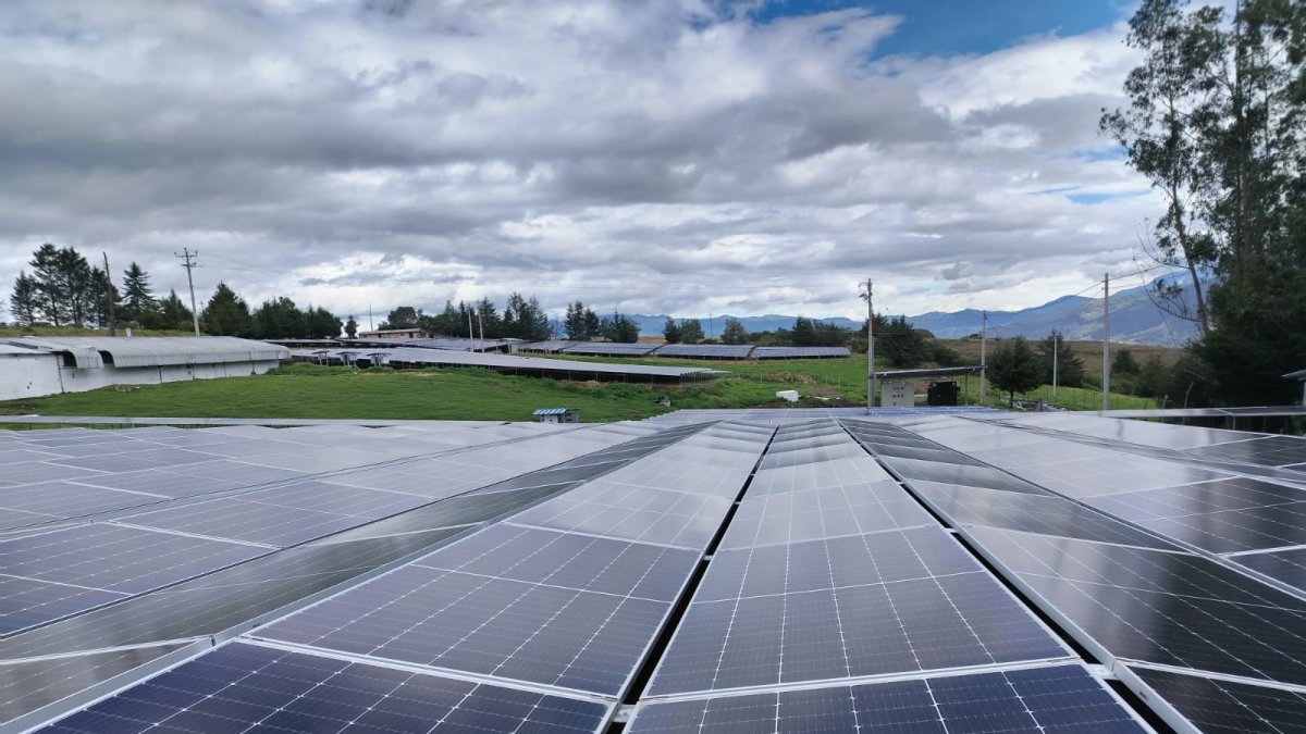 La cadena de comida rápida invierte en nuevas fuentes de energía.
