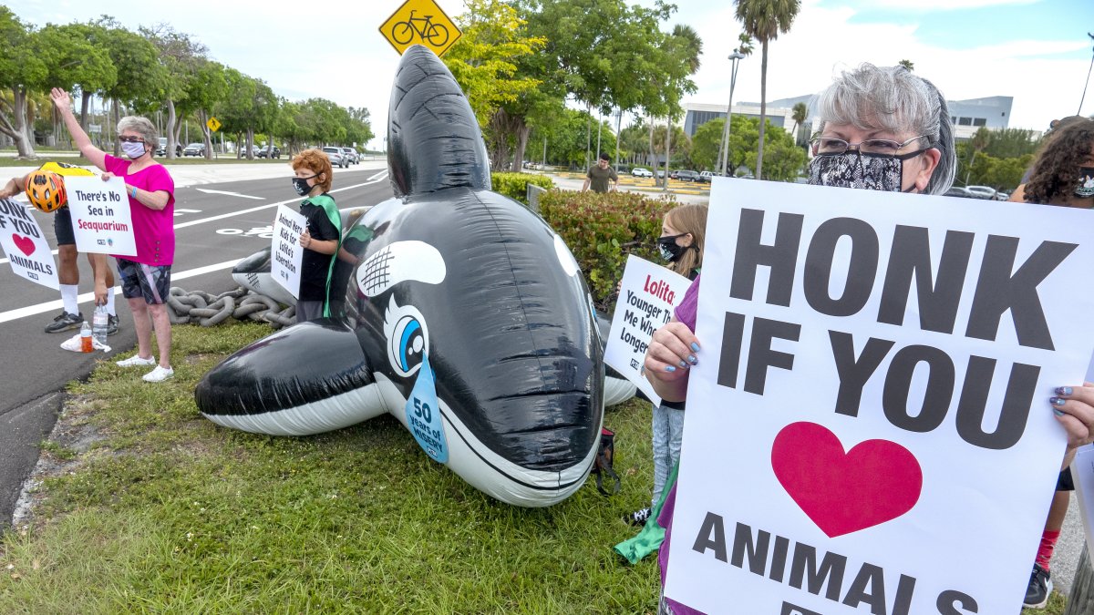 Miami. Personas protestas en las afueras del Miami Seaquarium.