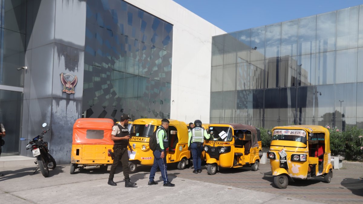 El operativo dejó gran cantidad de vehículos decomisados.