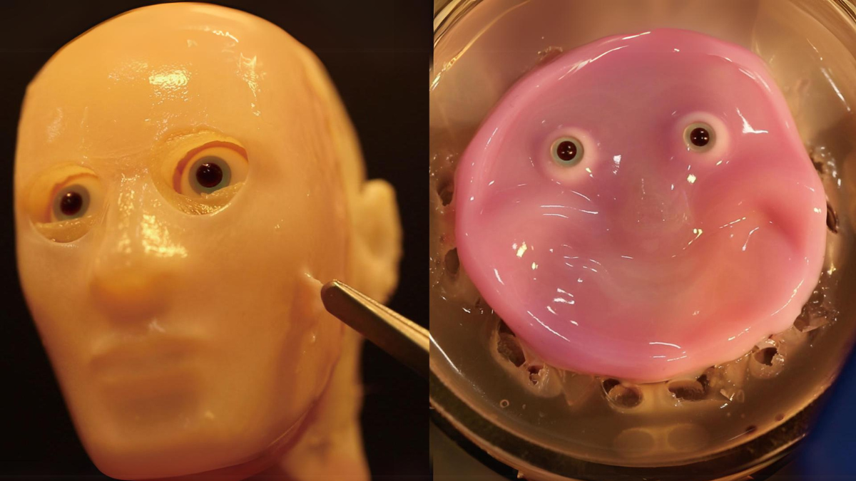 Combo de fotos cedidas por el profesor Shoji Takeuchi, del Instituto de Ciencia Industrial de la Universidad de Tokio, del robot facial con piel 'viva' hecha con células humanas