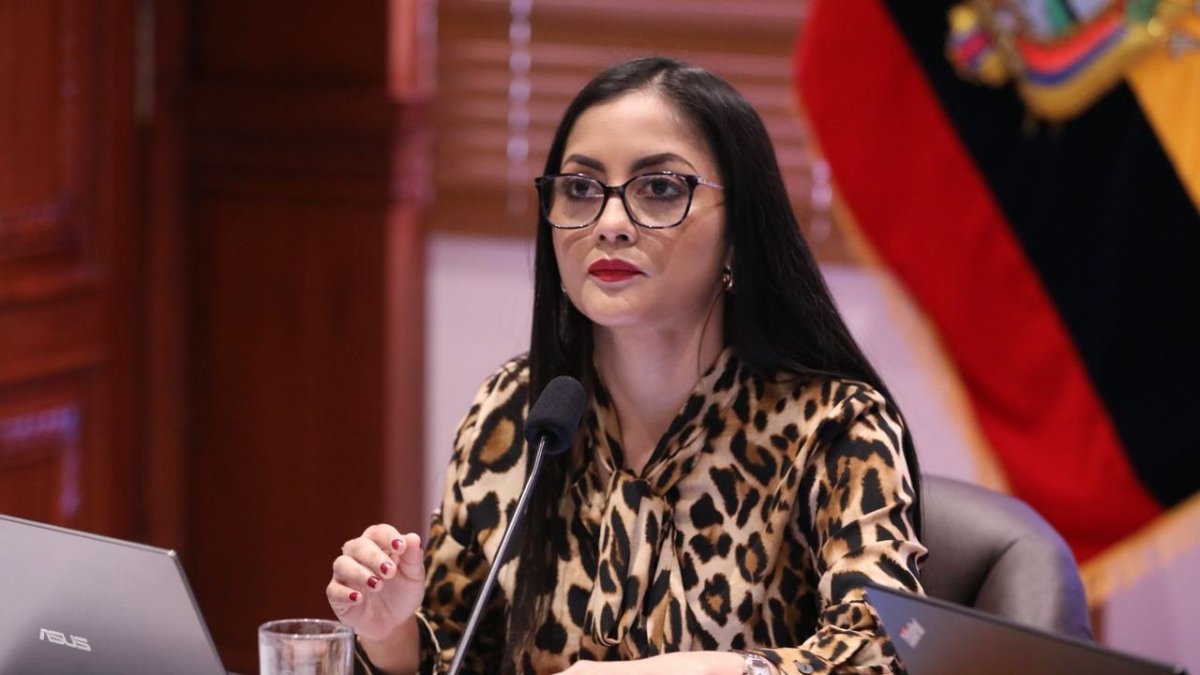 La sesión del pleno de la Asamblea Nacional fue virtual y dirigida por la primera vicepresidenta, la correísta Viviana Veloz.